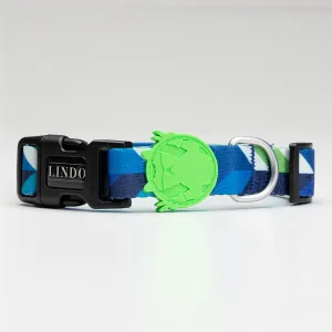 Collar Blue Dream