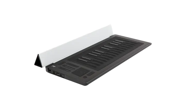 Flip Case for RISE 25