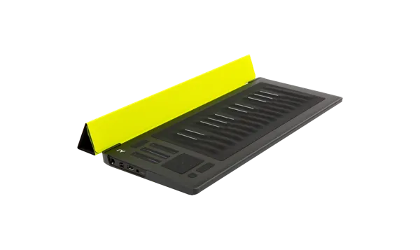 Flip Case for RISE 25