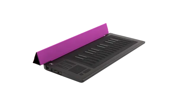 Flip Case for RISE 25