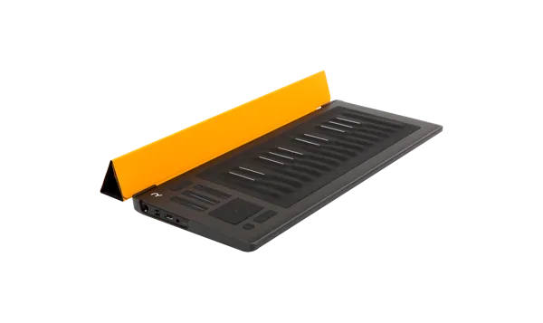 Flip Case for RISE 25