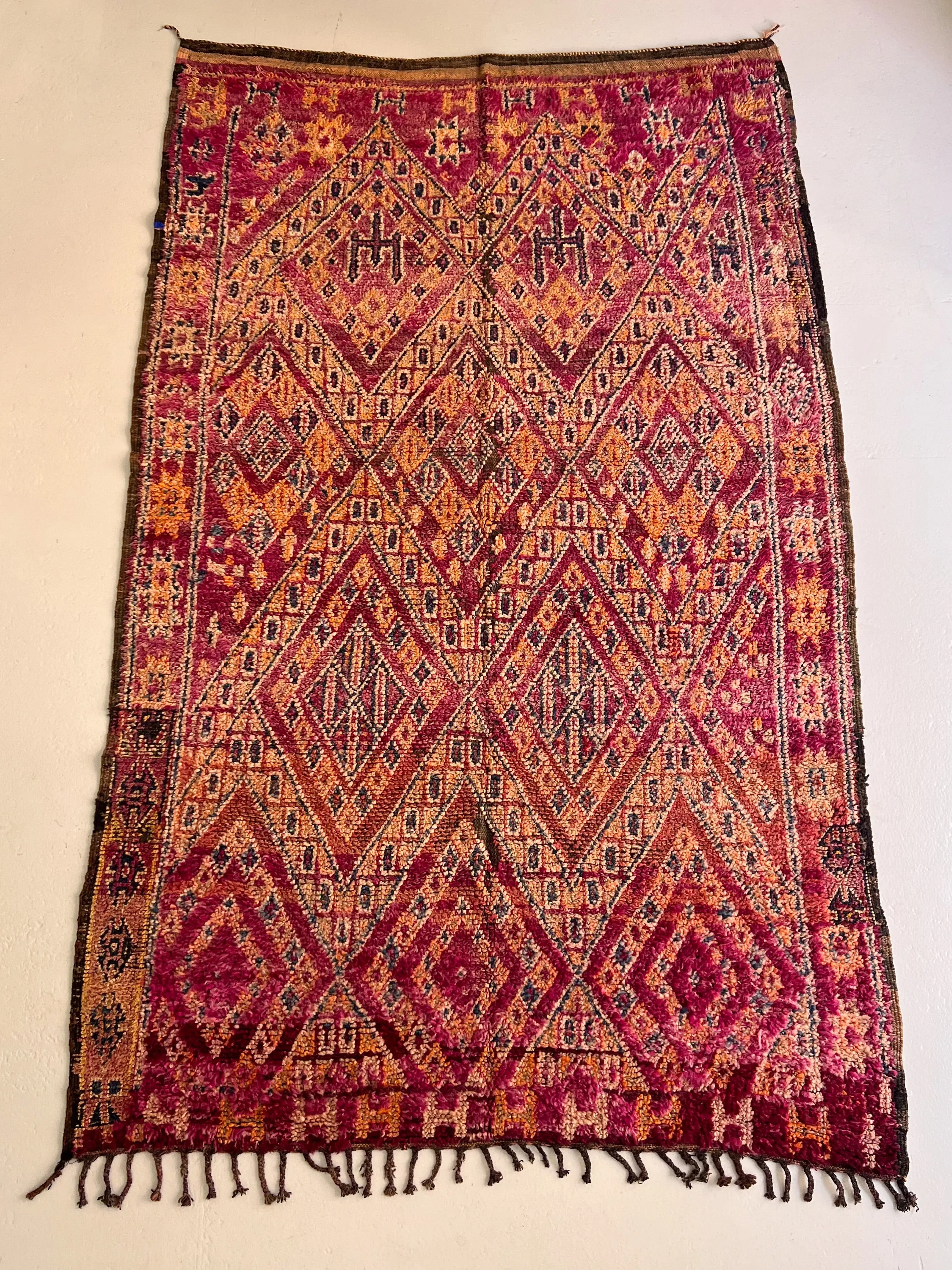 Timahdite's Imperial Purple Vintage Beni M’Guild