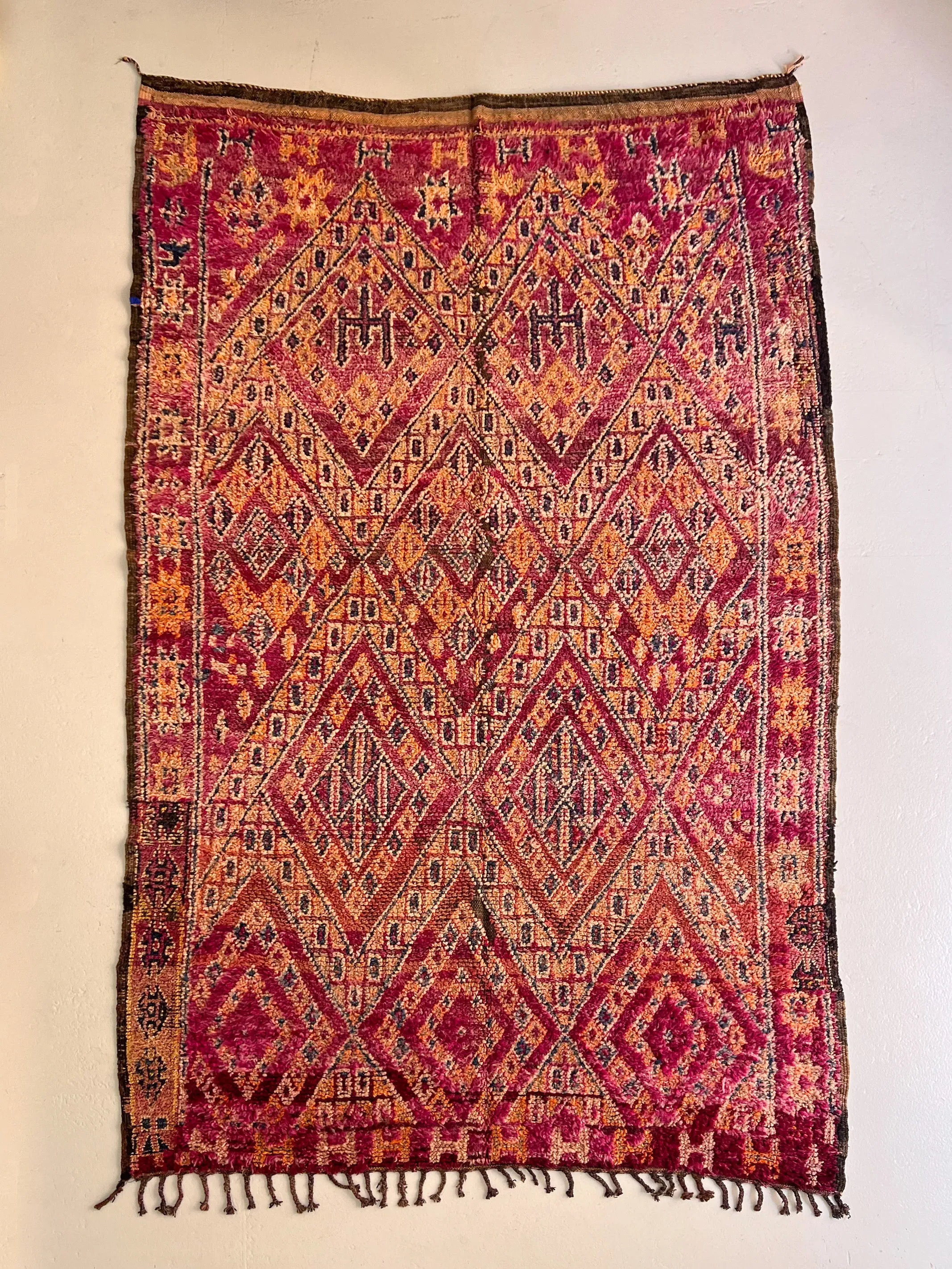 Timahdite's Imperial Purple Vintage Beni M’Guild